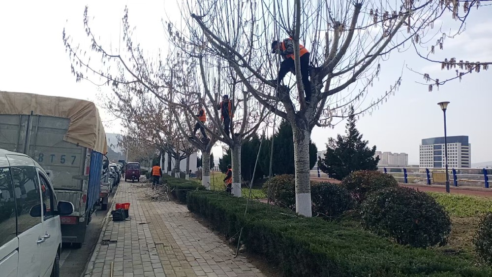 公用事业公司开展春季树木修剪工作