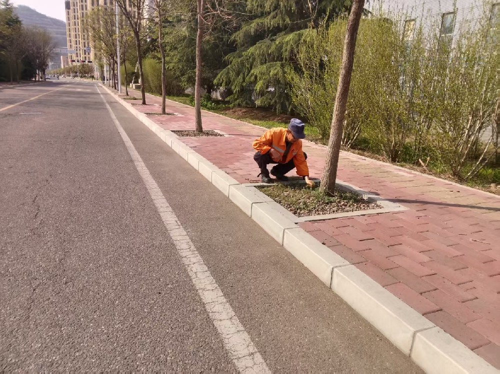 公用事业公司清理人行道杂草